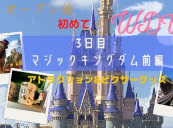 ショー すちわーと In ディズニーワールド